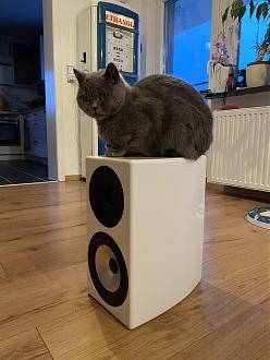 Klicke auf die Grafik für eine vergrößerte Ansicht

Name: IMG_6396.jpg
Ansichten: 517
Größe: 1,03 MB
ID: 710488