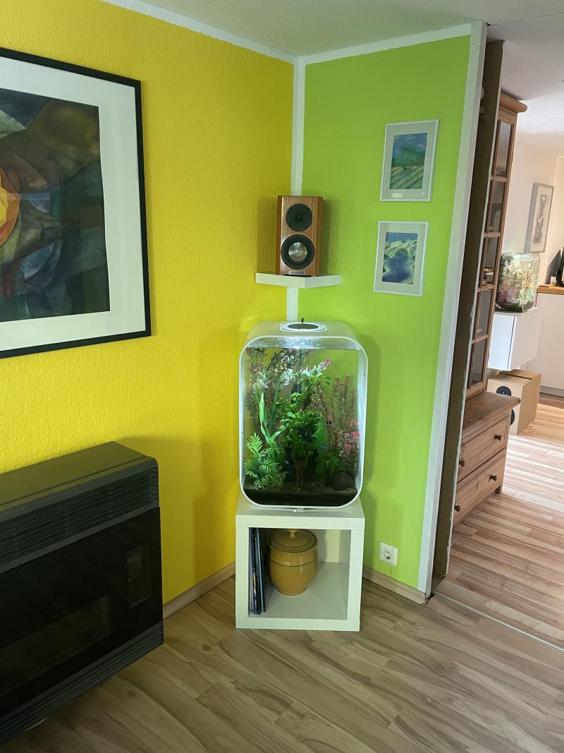 Klicke auf die Grafik für eine vergrößerte Ansicht

Name: IMG_2560.jpg
Ansichten: 465
Größe: 101,4 KB
ID: 700910