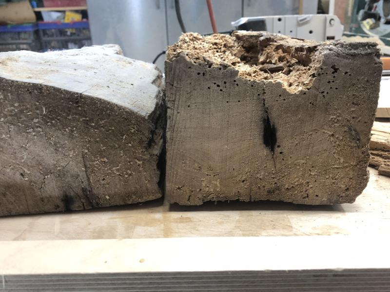 Klicke auf die Grafik für eine vergrößerte Ansicht

Name: IMG_1748.jpg
Ansichten: 305
Größe: 76,3 KB
ID: 693455