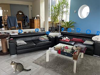 Klicke auf die Grafik für eine vergrößerte Ansicht  Name: IMG_3733_2.jpeg Ansichten: 0 Größe: 437,6 KB ID: 733431