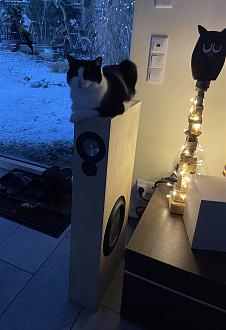 Klicke auf die Grafik für eine vergrößerte Ansicht

Name: IMG_3762.jpg
Ansichten: 54
Größe: 1,39 MB
ID: 733858