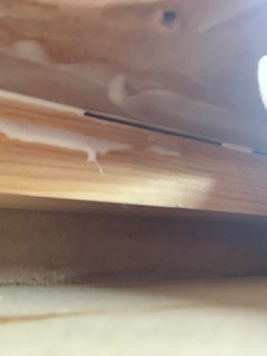 Klicke auf die Grafik für eine vergrößerte Ansicht

Name: 0978BBB0-101C-442A-B451-24E74774B9EC.jpeg
Ansichten: 359
Größe: 12,7 KB
ID: 704008