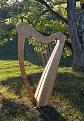 Irische Harfe "SeaMew"